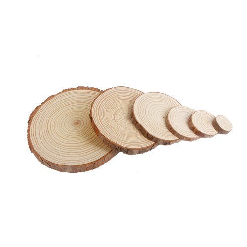 6 PCS Custom logo home decorative DIY natural wooden cutting pieces slice wood teapot mat