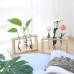 Simple creative wooden crafts plant green radish vase glass test tube hydroponic home desk decoration